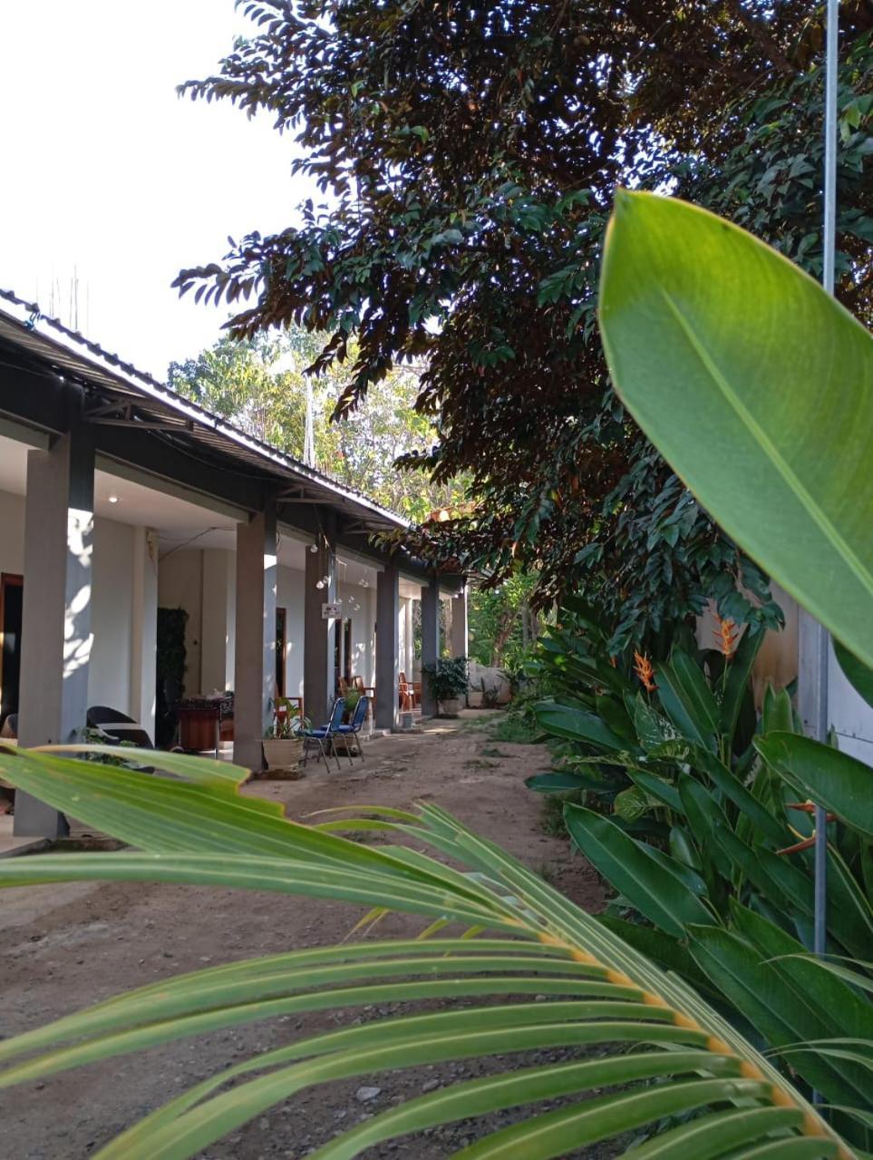 Wl Guesthouse 纳闽巴霍 外观 照片